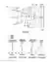 Fig. 46 - OPTICAL LENS ASSEMBLY