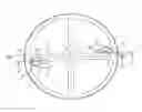 Fig. 01 - Balance wheel-spring assembly of timepiece