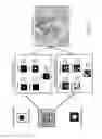 Fig. 06 - Method for assigning tissue normalization factors for digital image analysis