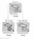 Fig. 07 - Method for assigning tissue normalization factors for digital image analysis