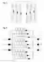 Fig. 03 - Standby and charging of modular multilevel converters