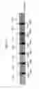 Fig. 16 - Communication system, communication device and communication method that can improve frequency use efficiency