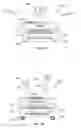 Fig. 02 - SELF-CONTAINED AND PORTABLE SYNCHRONIZED DATA COMMUNICATION SYSTEM AND METHOD FOR FACILITATING THE WIRELESS TRANSMISSION OF VIDEO AND DATA FROM VENUES TO CLIENT DEVICES