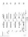 Fig. 06 - Genetically Modified Major Histocompatibility Complex Animals