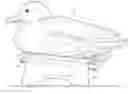 Fig. 01 - Decoy stand
