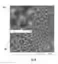 Fig. 09 - Aerosol delivery device