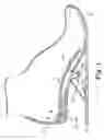 Fig. 02 - Energy return orthotic systems