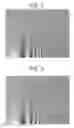 Fig. 04 - System and method for the rapid measurement of the visual contrast sensitivity function