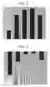 Fig. 05 - System and method for the rapid measurement of the visual contrast sensitivity function