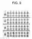 Fig. 09 - System and method for the rapid measurement of the visual contrast sensitivity function
