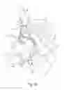 Fig. 02 - System and method for next-generation MRI spine evaluation