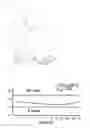 Fig. 03 - SYSTEM FOR GUIDING CORRECTION OF WALKING GAIT AND CONTROL METHOD THEREOF