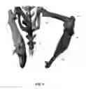 Fig. 04 - Systems and methods for characterizing a central axis of a bone from a 3D anatomical image