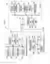 Fig. 03 - IMAGE PROCESSING DEVICE, RADIOGRAPHIC IMAGING SYSTEM, IMAGE PROCESSING METHOD, AND NON-TRANSITORY COMPUTER READABLE MEDIUM