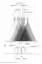 Fig. 09 - RADIATION TOMOGRAPHIC IMAGING APPARATUS, AND PROGRAM FOR CONTROLLING THE SAME