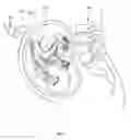 Fig. 05 - ULTRASONIC FETAL IMAGING WITH SHEAR WAVES