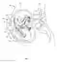 Fig. 06 - ULTRASONIC FETAL IMAGING WITH SHEAR WAVES