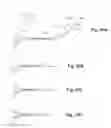 Fig. 09 - INSTRUMENT FOR ENDOSCOPIC APPLICATIONS OR THE LIKE