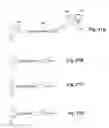 Fig. 10 - INSTRUMENT FOR ENDOSCOPIC APPLICATIONS OR THE LIKE