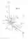 Fig. 07 - Multiple spinal surgical pathways systems and methods