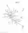 Fig. 08 - Multiple spinal surgical pathways systems and methods