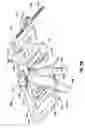 Fig. 31 - Minimally open interbody access retraction device and surgical method
