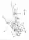 Fig. 16 - Soft tissue retractor