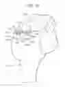 Fig. 22 - TISSUE AUGMENTATION TACKS FOR USE WITH SOFT TISSUE FIXATION REPAIR SYSTEMS AND METHODS