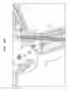 Fig. 36 - Clip applier with clip follower