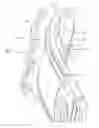 Fig. 09 - Radial compression band