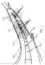 Fig. 02 - Devices and methods for controlling blood perfusion pressure along with regional mild hypothermia
