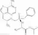 Fig. 08 - Compositions and Methods for Combination Antiviral Therapy