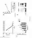 Fig. 02 - Dosing Regimens for Treating And/Or Preventing Cerebral Amyloidoses