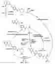 Fig. 01 - MULTIPLE FOLATE FORMULATION AND USE THEREOF