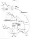 Fig. 02 - MULTIPLE FOLATE FORMULATION AND USE THEREOF