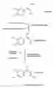 Fig. 07 - MULTIPLE FOLATE FORMULATION AND USE THEREOF
