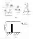 Fig. 02 - Self-antigen displaying nanoparticles targeting auto-reactive immune factors and uses thereof