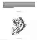 Fig. 02 - COMPLEX OF IMMUNOGENIC POLYPROTEINS OF M. hyopneumoniae, SYNTHETIC GENE ENCODING THE COMPLEX OF IMMUNOGENIC POLYPROTEINS OF M. hyopneumoniae, IMMUNOGENIC COMPOSITION, METHOD FOR PRODUCING A COMPLEX OF IMMUNOGENIC POLYPROTEINS OF M. hyopneumoniae, USE OF A COMPOSITION BASED ON A COMPLEX OF IMMUNOGENIC POLYPROTEINS OF M. hyopneumoniae