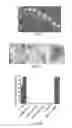 Fig. 02 - Modified bat influenza viruses and their uses