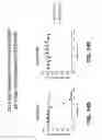 Fig. 49 - Anti-DLL3 antibody drug conjugates