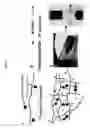Fig. 09 - Methods of Making and Using Bioadhesive Compositions