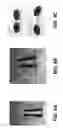 Fig. 05 - FIRE PROTECTION SYSTEMS AND METHODS