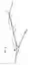 Fig. 06 - Collapsible net apparatus