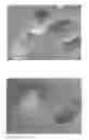 Fig. 01 - METHODS OF MAKING HIGHLY PURIFIED DIATOMACEOUS EARTH WITH WIDE RANGE OF FILTRATION RATES