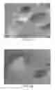 Fig. 02 - METHODS OF MAKING HIGHLY PURIFIED DIATOMACEOUS EARTH WITH WIDE RANGE OF FILTRATION RATES