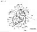 Fig. 02 - Sealing structure of door weather strip