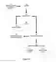 Fig. 04 - Efficient vehicle power systems
