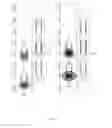 Fig. 09 - Side collision avoidance system and method for vehicle