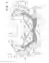 Fig. 04 - Front structure of saddle ride type vehicle