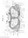 Fig. 05 - Front structure of saddle ride type vehicle